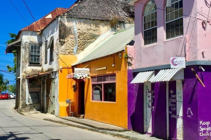 Full-Day Barbados Natural Heritage Tour: Caves, Windmills & Wildlife photo 2