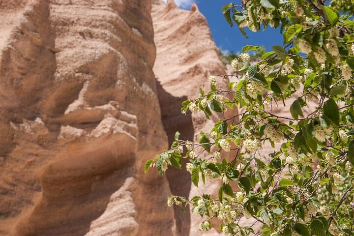 Discover the Lame Rosse di Fiastra: Pinnacles of the Sibillini photo 4