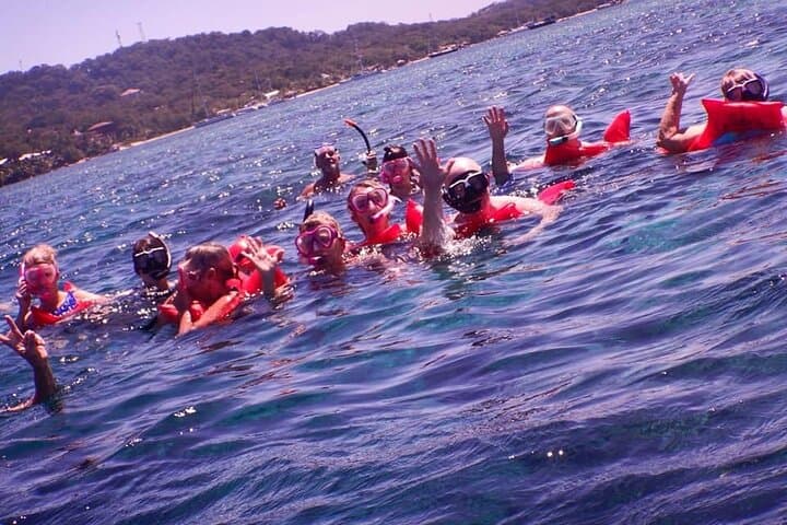 West End Snorkel, Chocolate & Rum Tasting Tour — Roatán Coral Reef Experience photo 4