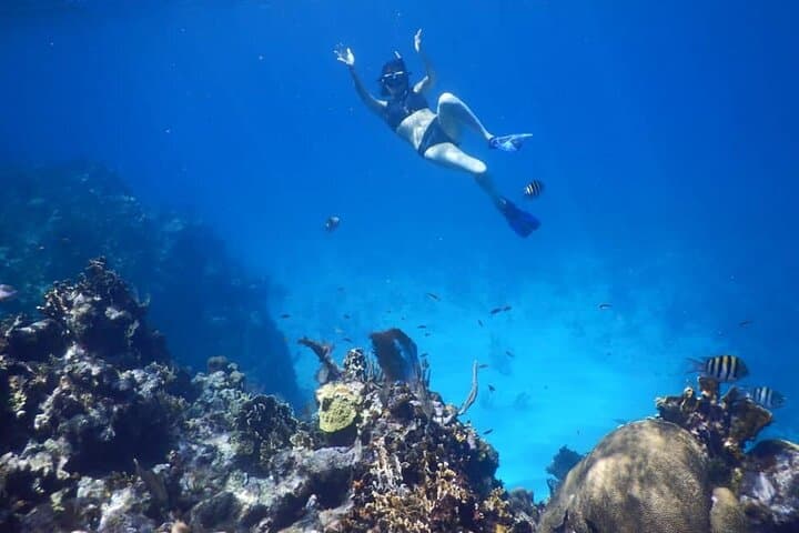West End Snorkel, Chocolate & Rum Tasting Tour — Roatán Coral Reef Experience photo 6