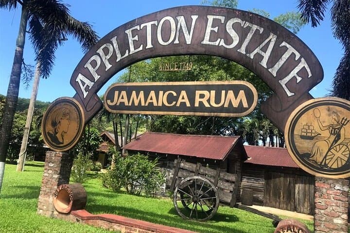 Appleton Estate & YS Falls Day Trip from Montego Bay: Rum Tastings and Seven-Tier Waterfalls photo 2