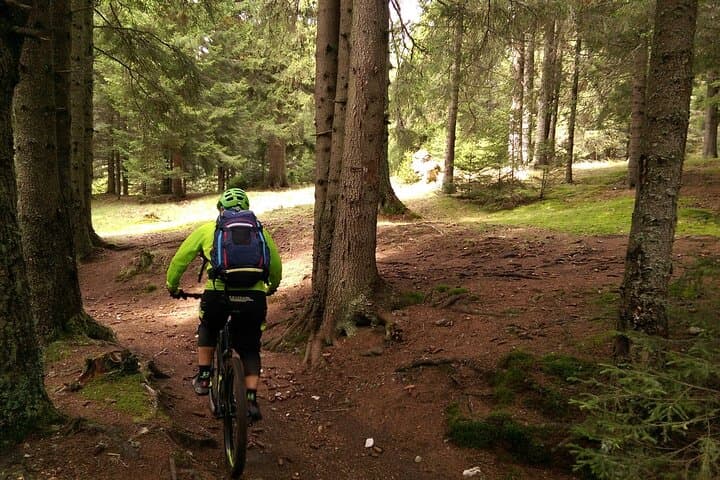 Postavaru Mountain Bike Day Tour from Brasov photo 5