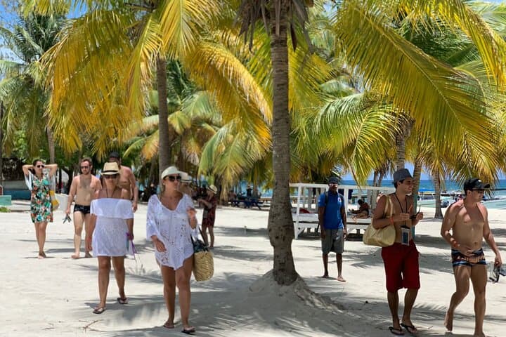 Full-Day Isla Saona & Altos de Chavón Excursion from Bayahibe