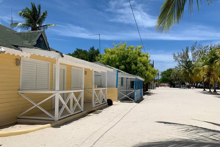 Full-Day Isla Saona & Altos de Chavón Excursion from Bayahibe photo 4