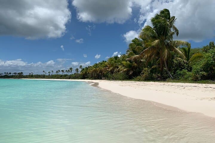 Full-Day Isla Saona & Altos de Chavón Excursion from Bayahibe photo 5