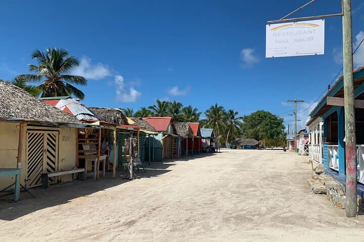 Full-Day Isla Saona & Altos de Chavón Excursion from Bayahibe photo 6