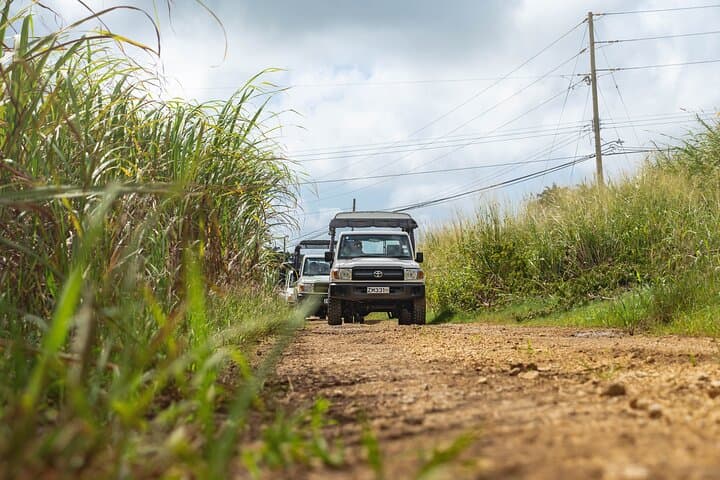 Discovery Safari: Bathsheba 4x4 Off‑Road Tour on Barbados’ Rugged East Coast photo 3
