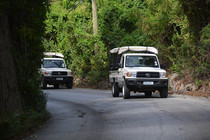Discovery Safari: Bathsheba 4x4 Off‑Road Tour on Barbados’ Rugged East Coast photo 4
