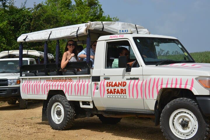 Discovery Safari: Bathsheba 4x4 Off‑Road Tour on Barbados’ Rugged East Coast