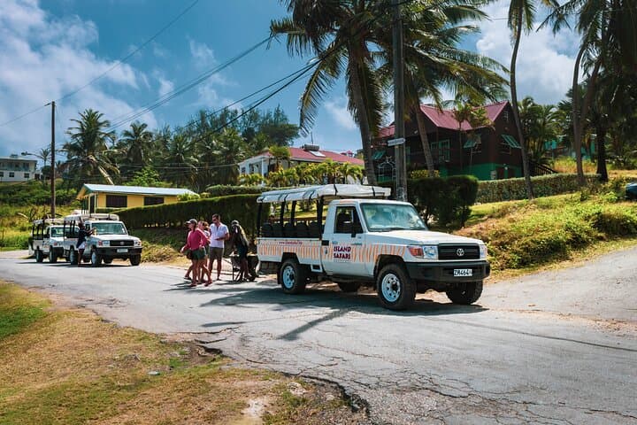 Discovery Safari: Bathsheba 4x4 Off‑Road Tour on Barbados’ Rugged East Coast photo 2