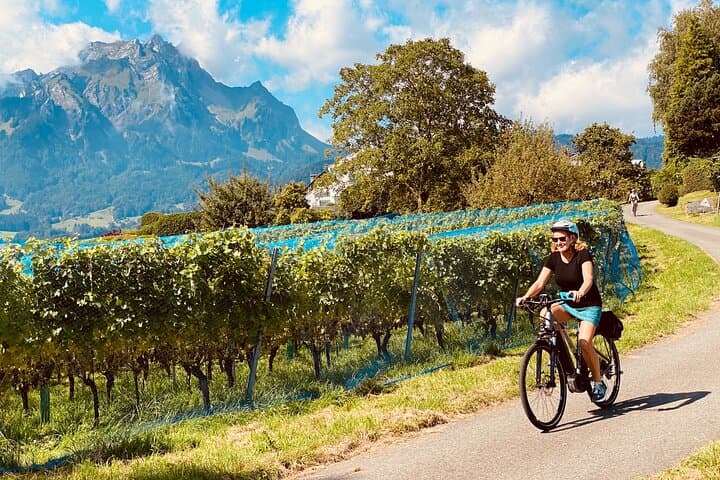 Lake Lucerne Peninsula e-Bike Tour: Scenic 10-Mile Ride from Lucerne photo 2