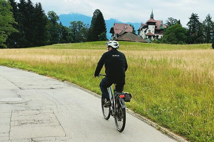 Lake Lucerne Peninsula e-Bike Tour: Scenic 10-Mile Ride from Lucerne photo 4