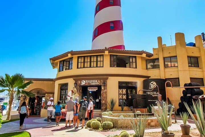 San Jose del Cabo City Tour — Palmilla Viewpoint, Puerto Los Cabos & Tequila Tasting