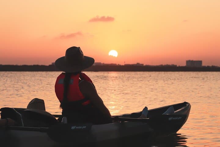 Sunset Kayak Tour in Laguna Nichupté: Mangroves, Birds, and Coastal Light photo 2