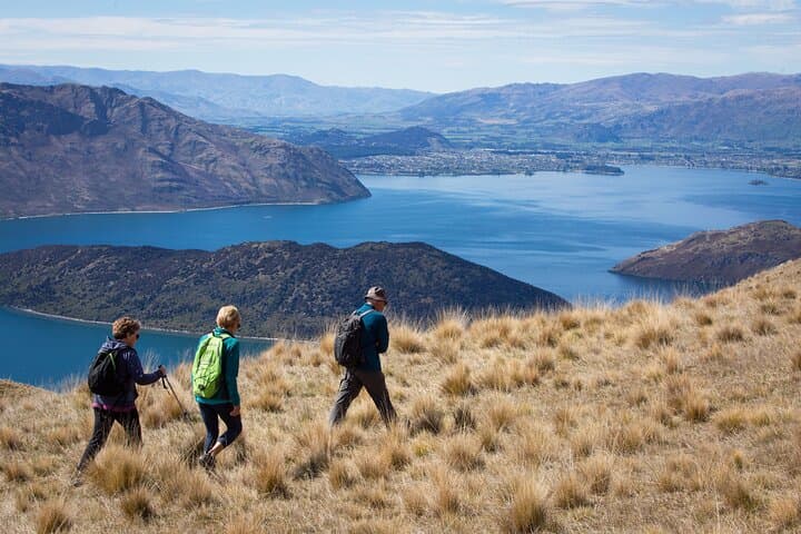 Wanaka High Country Walk — West Wanaka Station Guided Alpine Trek photo 6