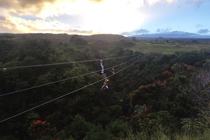 Big Island 8-Zipline & Suspension Bridge Adventure at Botanical World (Kamaee Falls) photo 2