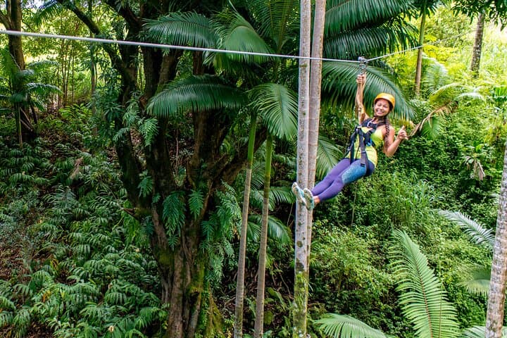 Big Island 8-Zipline & Suspension Bridge Adventure at Botanical World (Kamaee Falls) photo 3