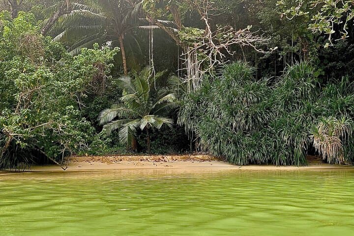 Frenchman's Cove Beach Day Trip from Montego Bay — Beach, River & Blue Lagoon Access photo 2