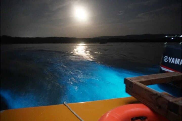 Bioluminescent Private Night Tours from Montego Bay — Luminous Lagoon Boat Experience photo 2