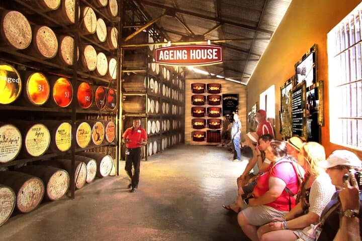 Appleton Estate & YS Falls Day Trip from Montego Bay: Rum Tastings and Seven-Tier Waterfalls photo 6