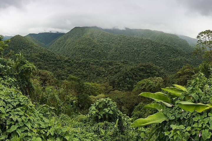 Sloth Rainforest Hike and Hidden Waterfall Near Liberia — Guided Day Tour photo 5