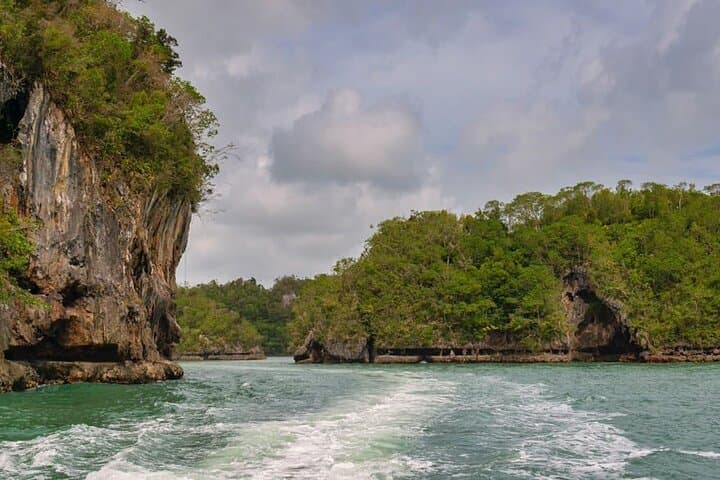 Exploring Los Haitises National Park: Full-Day Mangrove, Cave & Wildlife Tour from Punta Cana photo 1