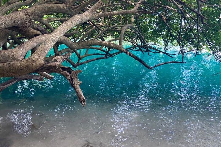Frenchman's Cove Beach Day Trip from Montego Bay — Beach, River & Blue Lagoon Access photo 6