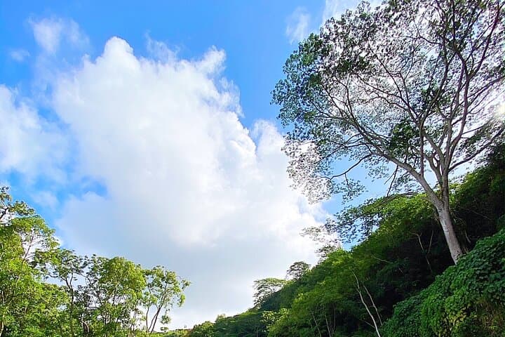 Kauai Kayak & Hike to Secret Falls: Guided Wailua River Adventure photo 5