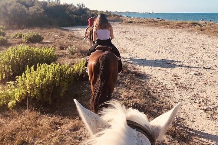 Horseback Ride in Salento Nature Reserve: Beach Trail from Lecce