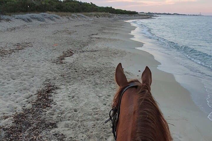 Horseback Ride in Salento Nature Reserve: Beach Trail from Lecce photo 6