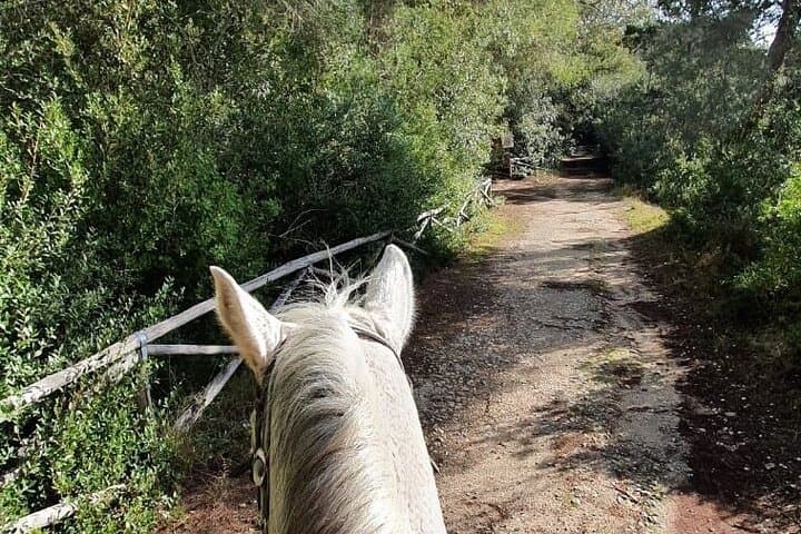 Horseback Ride in Salento Nature Reserve: Beach Trail from Lecce photo 2