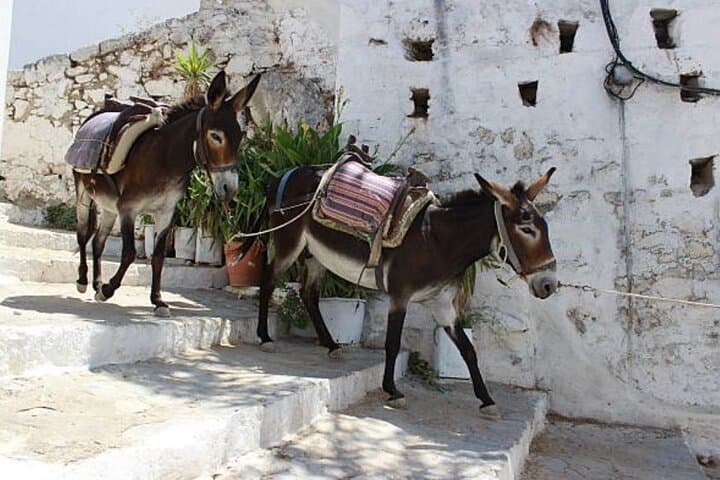 Rhodes Shore Excursion: Lindos Acropolis & Medieval Rhodes Guided Tour photo 5