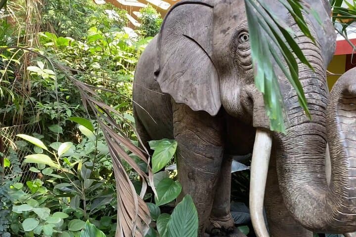 Explore Cairo's Historic Giza Zoo: Private Half-Day Wildlife Tour photo 3