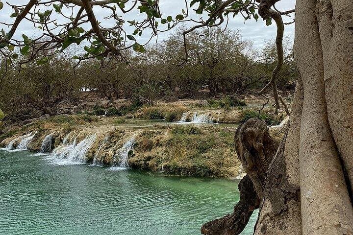 Half-Day Private Salalah East Tour: Wadi Darbat, Jebel Samhan & Taqah photo 1