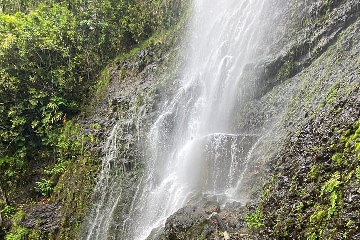 Maui Waterfall and Rainforest Adventure — Rainforest Drive and Waterfall Hikes from Kahului photo 6