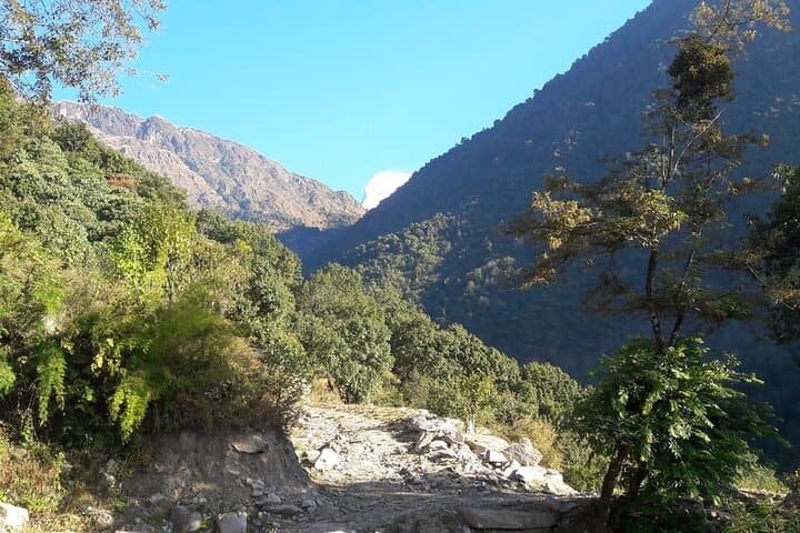 Manaslu Circuit Lodge Trekking — Larkya La Pass & Himalayan Village Culture photo 3