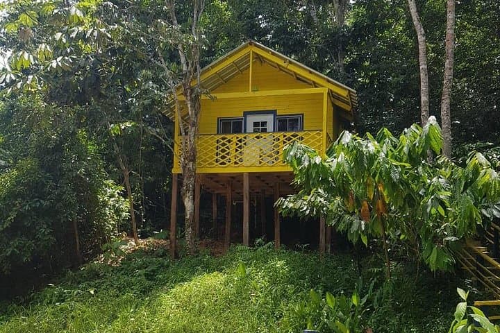 Overnight Beach-to-Mountain Horseback Ride in El Seibo, Dominican Republic