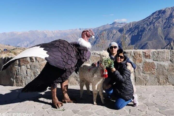Colca Canyon Trek: 2-Day Arequipa to Sangalle Oasis Adventure photo 6