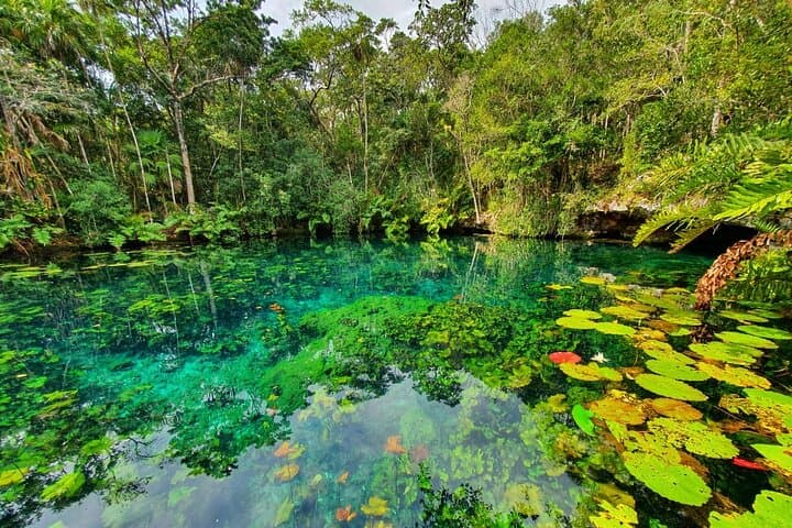Tankah 3-Cenotes Bike Adventure from Tulum: Ride, Swim & Cliff-Jump photo 2