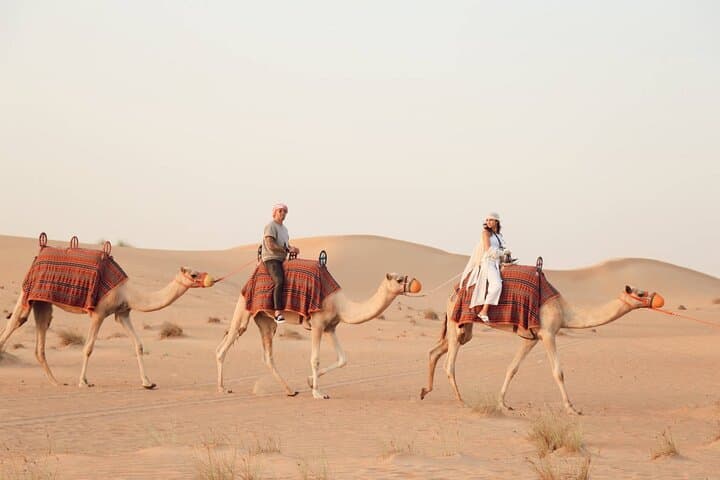 Red Dune Bashing and ATV Quad Safari in Dubai's Red Desert photo 4