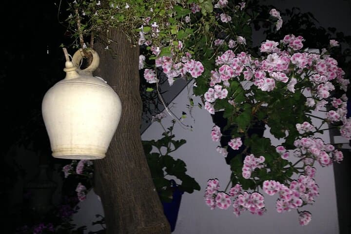 Inside Córdoba's Patios: Private Guided Tour of Historic Courtyards