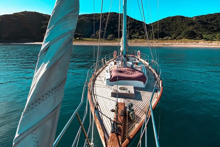Private Charter Bay of Islands — Sail on Vigilant with Kayaks, Snorkel & Island Lunch photo 4