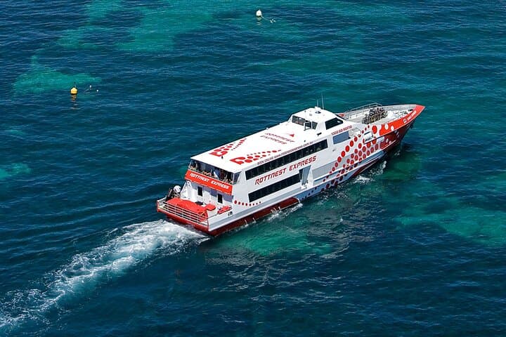 Rottnest Island Day Trip: Ferry, Coach Tour & West End Explorer photo 5