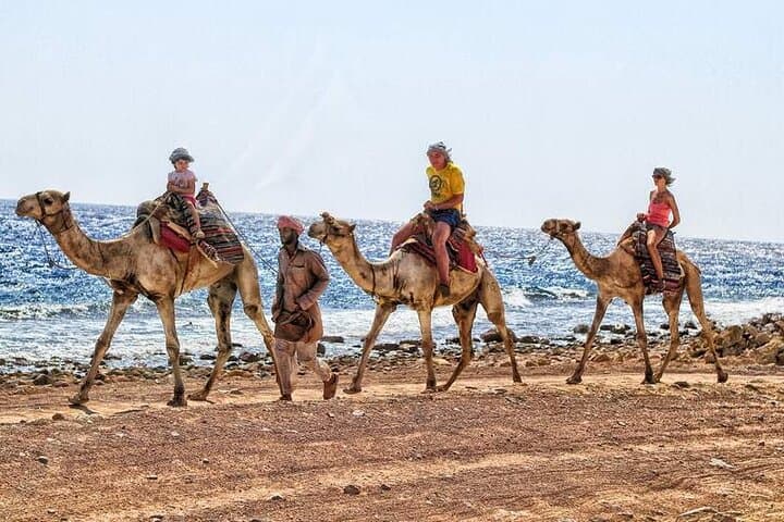Dahab Blue Hole, Canyon & Quad Biking Day Trip from Sharm El Sheikh photo 5