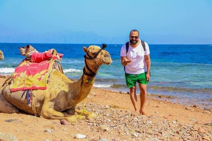 Dahab Blue Hole, Canyon & Quad Biking Day Trip from Sharm El Sheikh photo 6