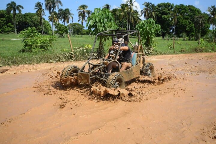 Discover the Dominican Countryside: Family Buggy Adventure photo 3