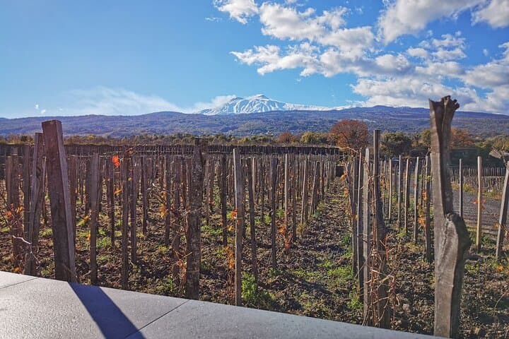Etna Wine and Alcantara Gorges Day Hike with Lunch from Catania photo 5