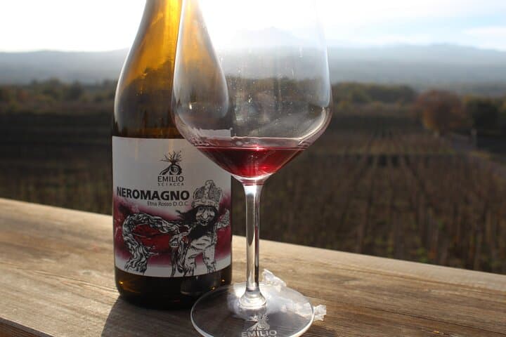 Etna Wine and Alcantara Gorges Day Hike with Lunch from Catania photo 2