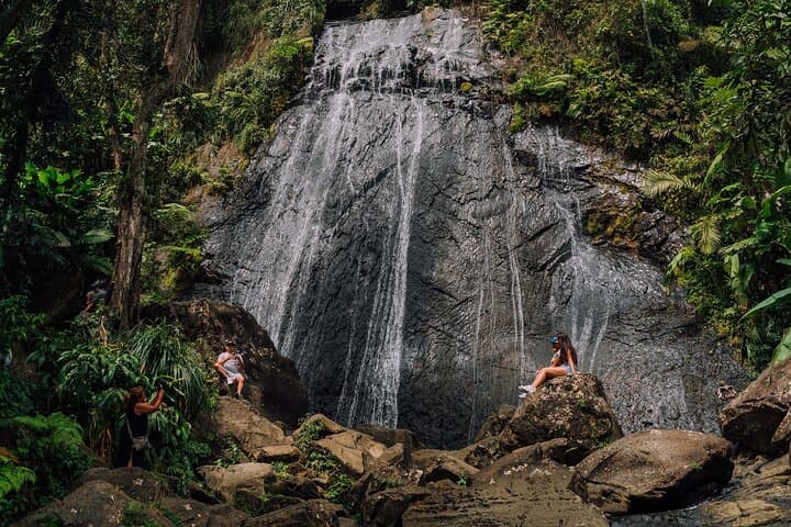 Half-Day El Yunque Rainforest Tour from San Juan — Waterfalls, Tower Views & Short Hike
