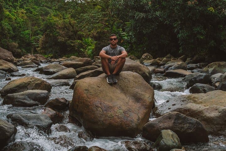 Half-Day El Yunque Rainforest Tour from San Juan — Waterfalls, Tower Views & Short Hike photo 3